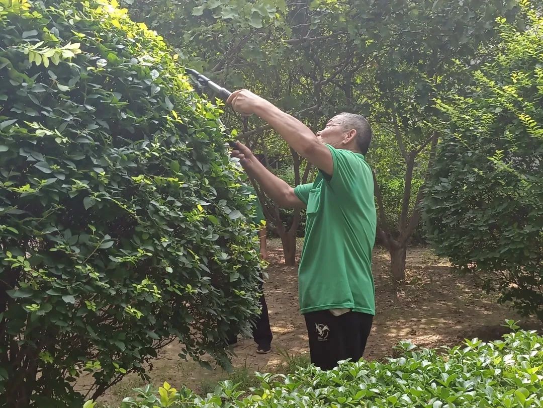 真牛!来广营“码”上报上线不到半年,为居民办了1162件实事! 第10张 真牛!来广营“码”上报上线不到半年,为居民办了1162件实事! 第10张